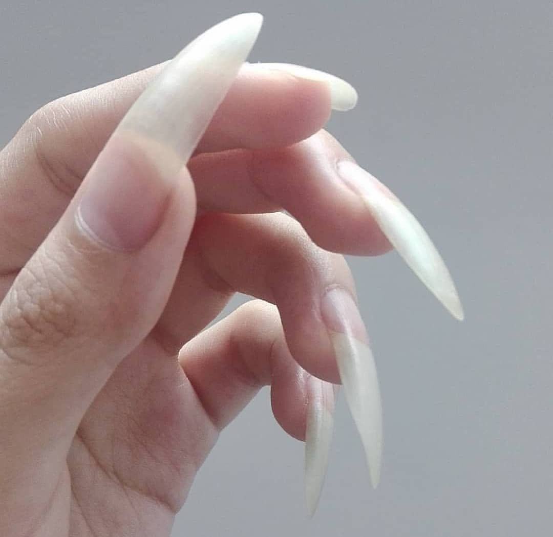 Pin On Sexy Long Nails