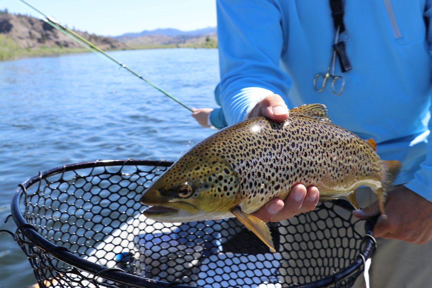 What Changes Are Coming To Trout Season Because Of Coronavirus Can I Still Fish During The Pandemic Press Journal
