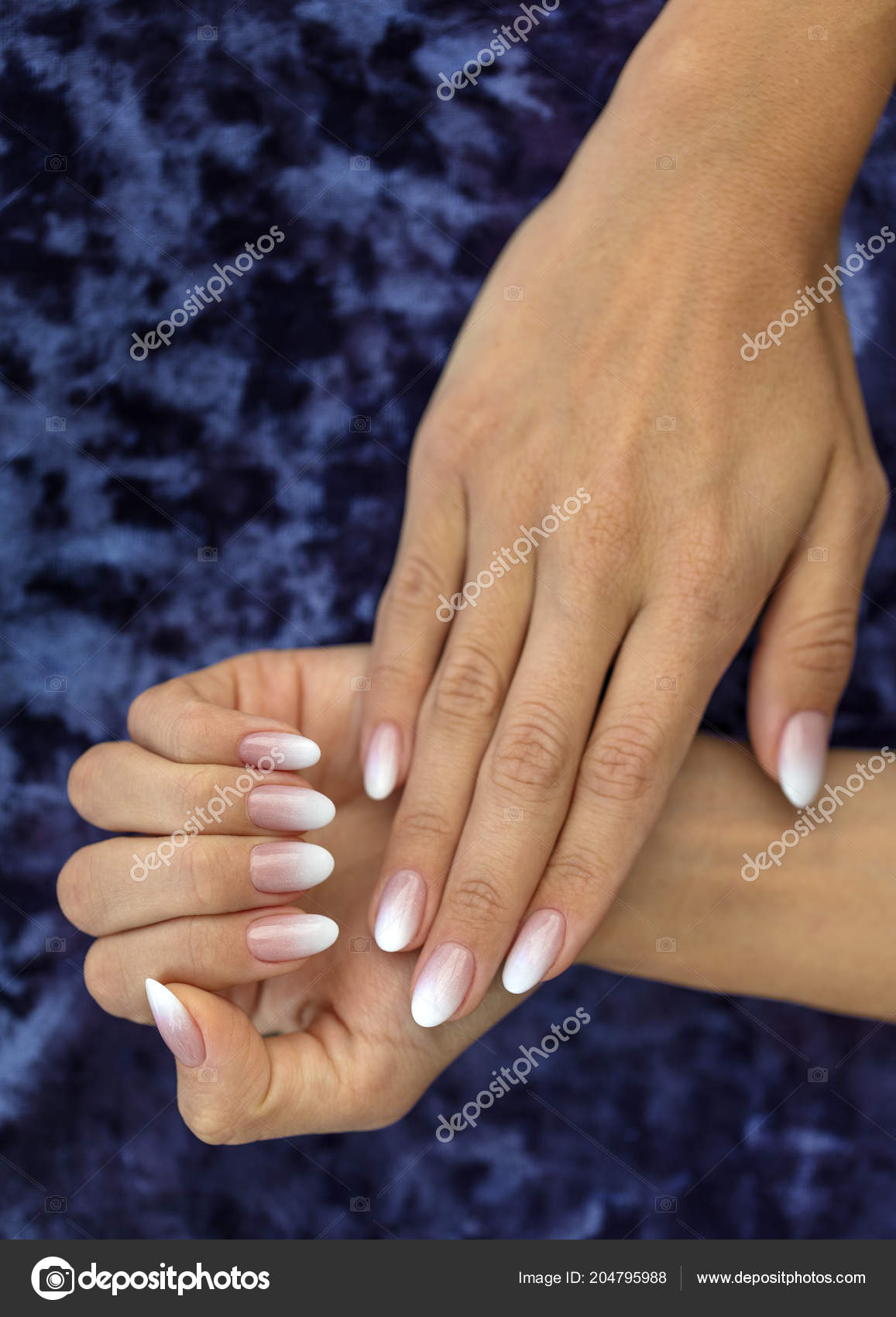 Pictures Ombre Nails Beautiful Woman Nails Beautiful French Manicure Ombre Peach White Stock Photo C Photosergii Gmail Com 204795988