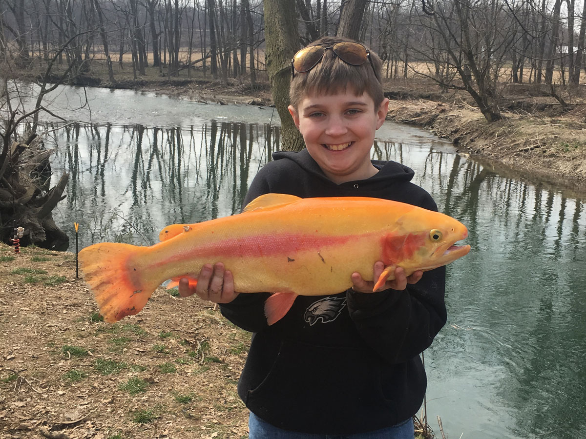 Pennsylvania Fishing Report April 4 2019 On The Water